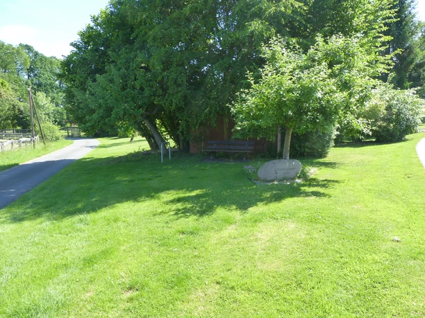 Eine grüne Wiese mit Bank unter Bäumen entlang eines schmalen, kurvigen Landwegs bei Sonnenschein.