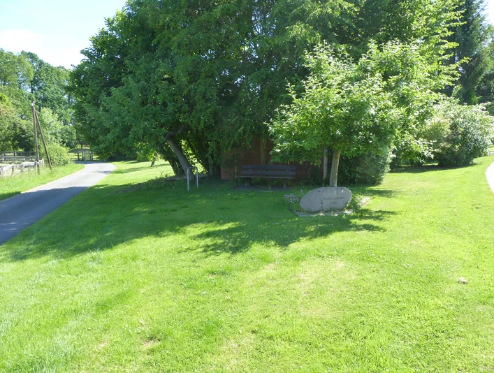 P1110054.JPG Eine grüne Wiese mit Bank unter Bäumen entlang eines schmalen, kurvigen Landwegs bei Sonnenschein.