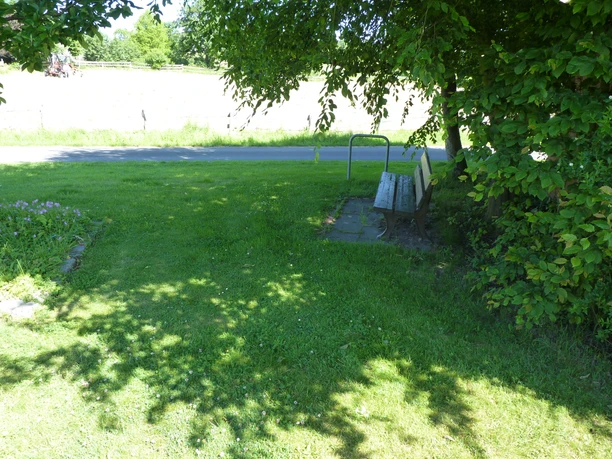 Parkbank unter großen Schatten spendenden Bäumen neben einer Wiese und vor einer ruhigen Landstraße.