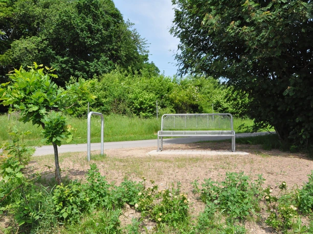 Metallbank neben einem Fußweg, umgeben von grünen Bäumen und Sträuchern unter blauem Himmel.