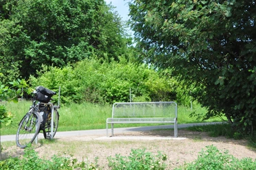 Fahrrad an einer Bank neben einem schattigen Weg mit üppiger grüner Vegetation im Hintergrund.