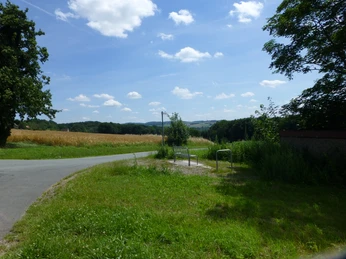 P1120724.JPG Ein kleiner, ländlicher Weg verläuft durch grüne Wiesen und Felder unter einem sonnigen, blauen Himmel.