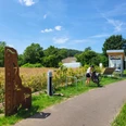 20240629_135509.jpg Radfahrerin an einem Rastplatz mit Infotafel und Fahrradständer neben einem Feld bei sonnigem Wetter.