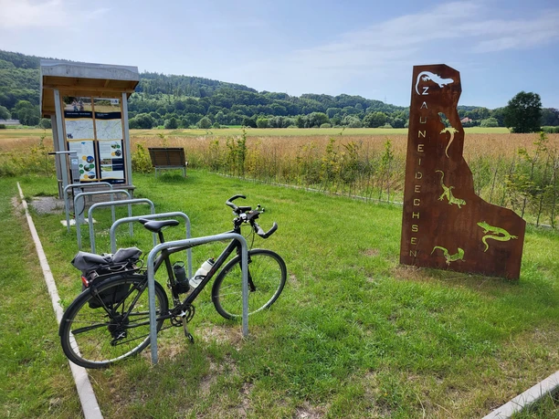 Fahrradständer und Infotafel neben Wiese mit Kunsttafeln von Zauneidechsen, umgeben von Waldlandschaft.