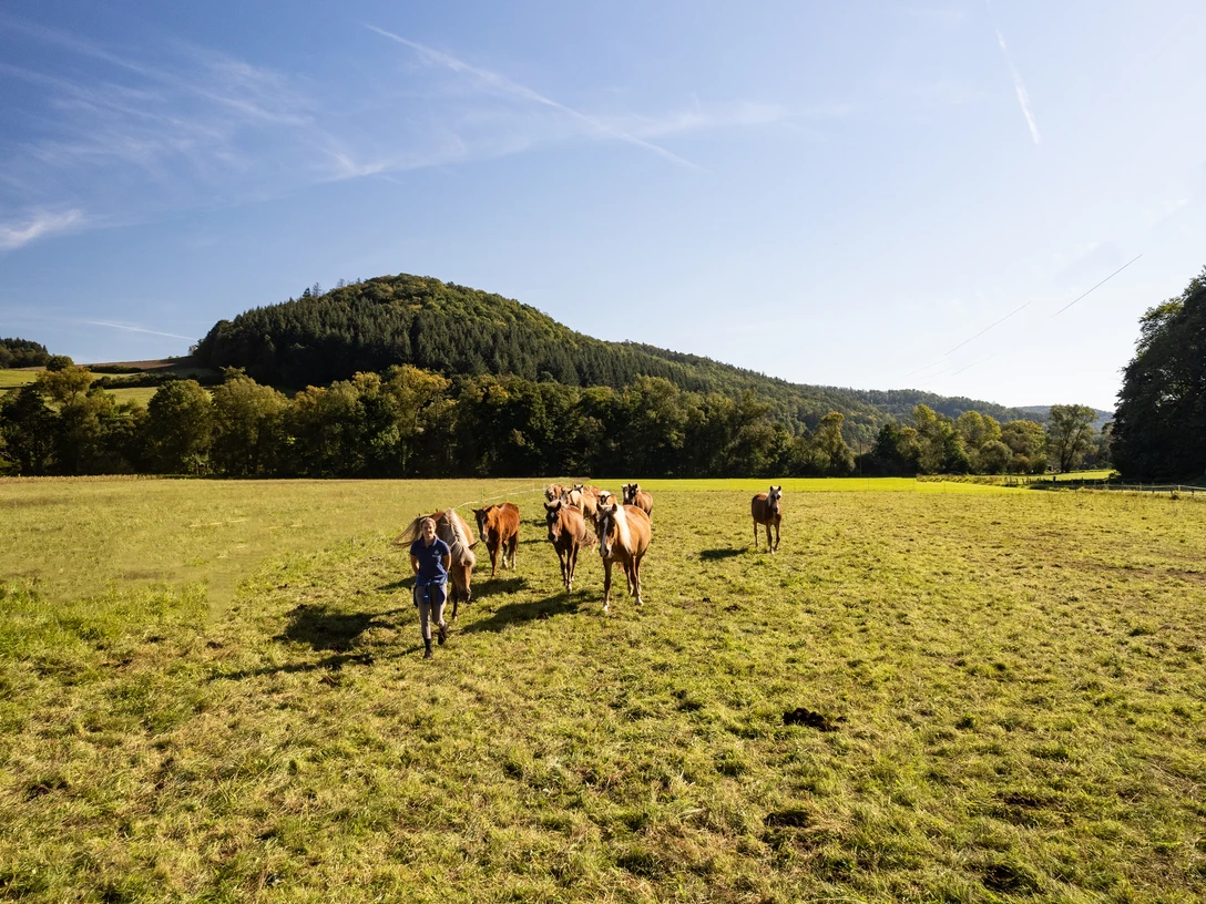 Air Hotel Freund_549 .jpg