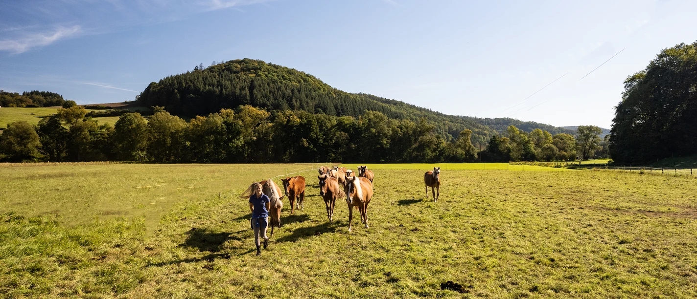 Air Hotel Freund_549 .jpg