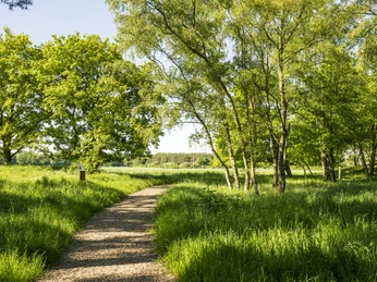 Archäologiepfad Stelle Archäologiepfad StelleStelle archaeological trailSentier archéologique de StelleArcheologisch pad StelleStelle arkæologisk spor