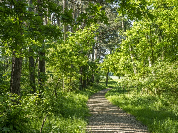 Archeologisch pad Stelle Archeologisch pad Stelle