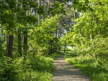 Stelle archaeological trail Archäologiepfad StelleStelle archaeological trailSentier archéologique de StelleArcheologisch pad StelleStelle arkæologisk spor