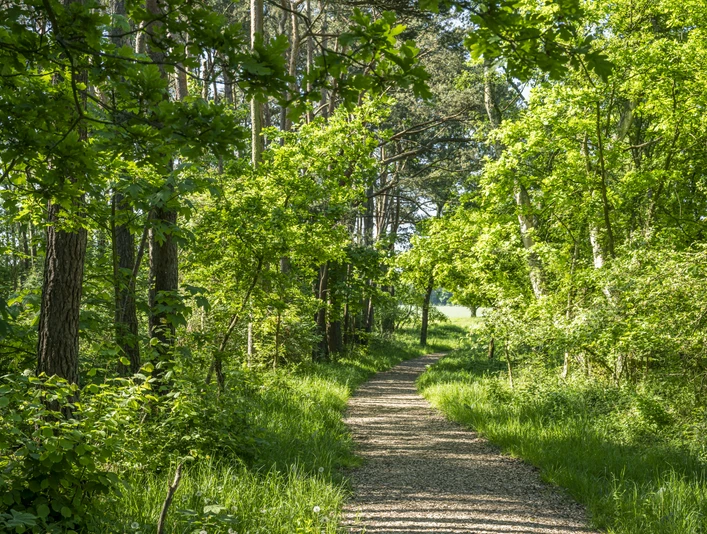 Stelle arkæologisk spor Archäologiepfad StelleStelle archaeological trailSentier archéologique de StelleArcheologisch pad StelleStelle arkæologisk spor