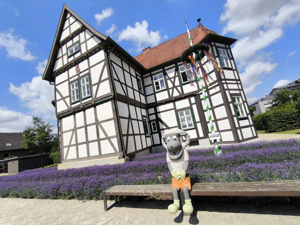 Hoevelhof-Schnucki_Figur_01-CC_BY_SA-Tourist_Information_Hoevelhof.jpg Eine bunte Schafsfigur sitzt vor einem Fachwerkhaus in Hövelhof, umgeben von Lavendelbeeten.