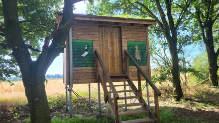 Dosenmoortour,Vrees - Hümmling-Pfade, Beobachtungshütte an den Teichen ©Naturpark Hümmling (2).jpg Holzhütte auf Stelzen mit Treppe zwischen Bäumen, an den Wänden Vogelmalereien auf grünem Hintergrund.