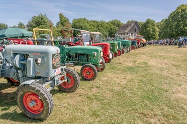 Auf Achse 2022 Eine Reihe bunter Oldtimer-Traktoren steht auf einem Feld, umrahmt von Bäumen und Schaulustigen.
