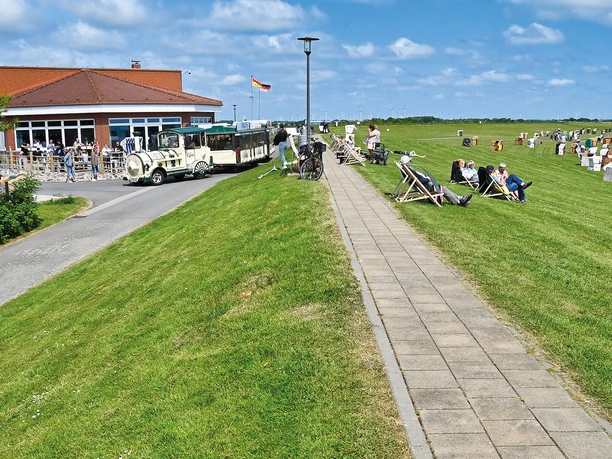 Strandhaus mit Krabben-Express.jpg