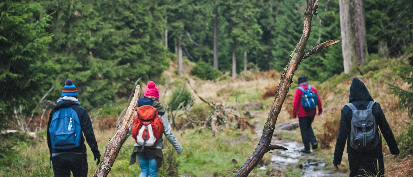 Wandern am Grünen Band