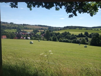 Grünland nahe Kempen