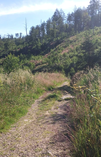 Abschnitt nahe Veldrom