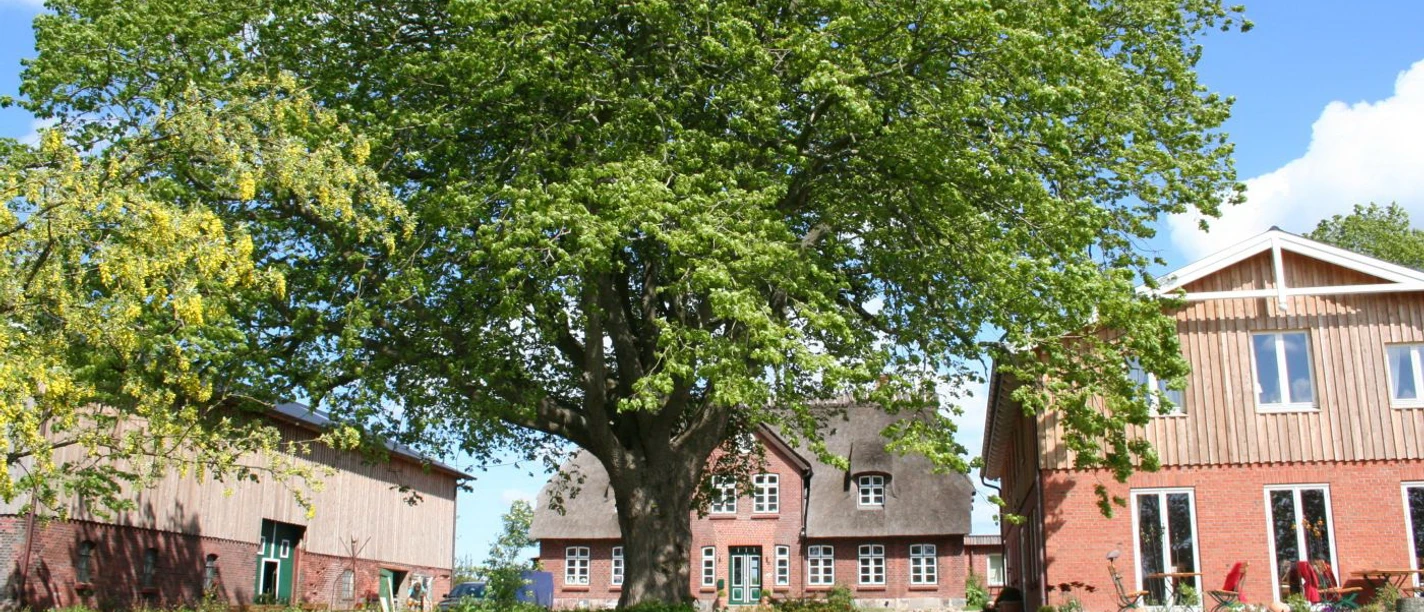 Janbecks FAIRhaus.jpg Janbecks FAIRhaus.jpg