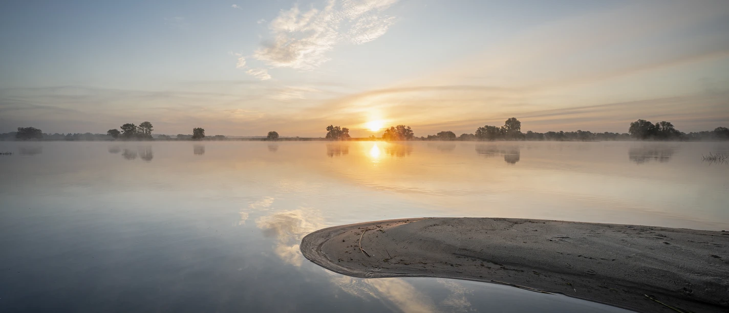 Elbevorland bei Radegast Elbevorland bei Radegast