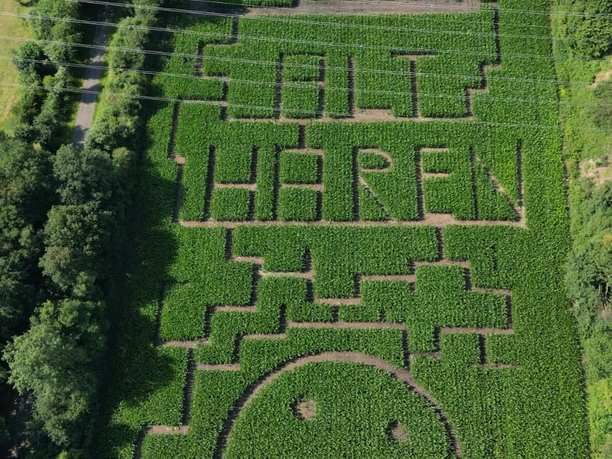 Maislabyrinth 2024.jpg