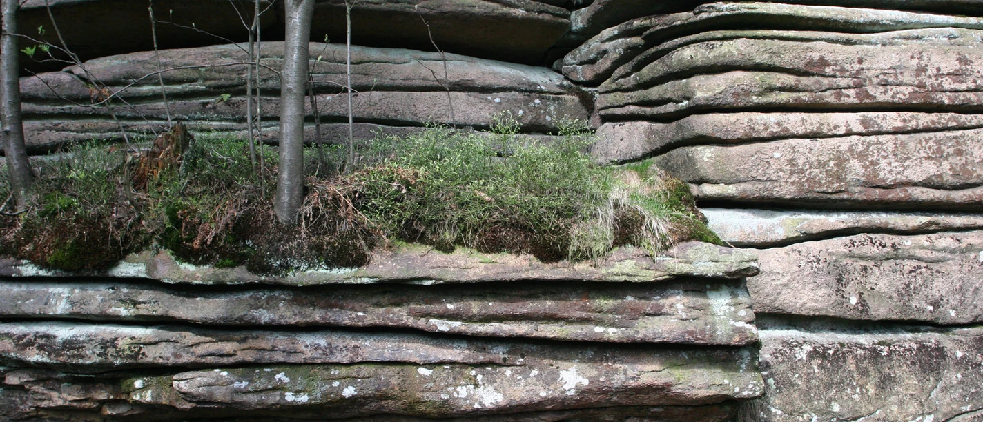 Felsen im Nationalpark Harz Felsen im Nationalpark Harz
