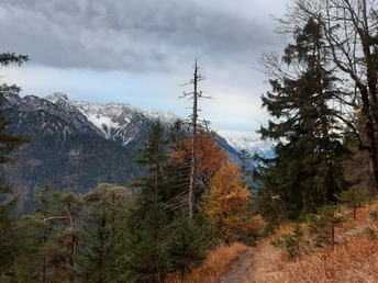 Weg zum Osterfeuerkopf, Eschenlohe