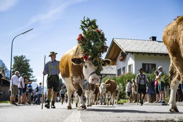 Krüner Almabtrieb mit Dorffest u. Bauernmarkt