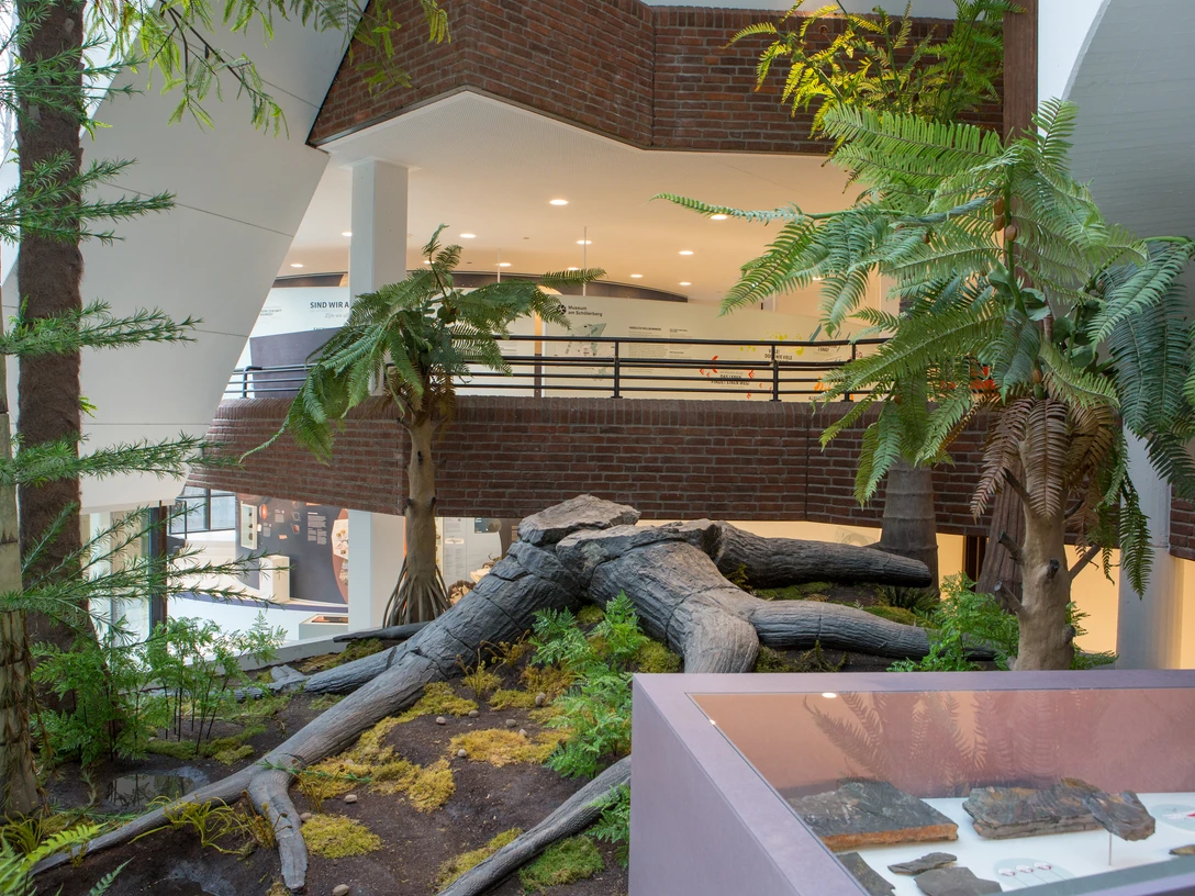 osnabrueck-museum-am-schoelerberg©tol-photo-herzmann-109.JPG Diorama mit Baumfarnen und Fossilien in modernem Gebäudeflur.