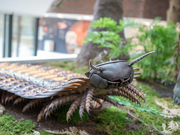 Skulptur eines prähistorischen Tieres mit zwei Fühlern und segmentiertem Körper im Museum am Schölerberg.