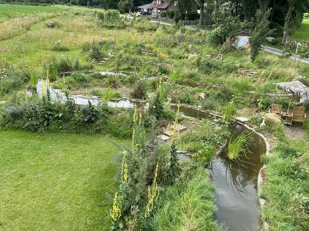 Miniaturflusslauf mit Wasserpflanzen, Wiesen und Aussicht auf ein Haus am Waldrand in Lingen