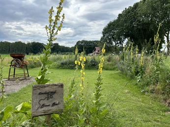 Ems in Kleinformat ©Emsland Tourismus GmbH (3).JPEG