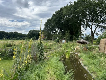 Ems in Kleinformat ©Emsland Tourismus GmbH (4).JPEG