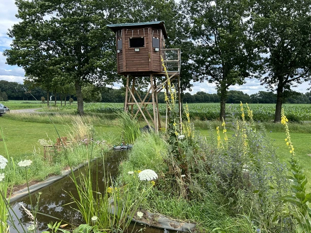 Ems in Kleinformat ©Emsland Tourismus GmbH.JPEG Holzturm am Teich mit blühenden Wiesenpflanzen, umgeben von Feldern und Bäumen im Emsland