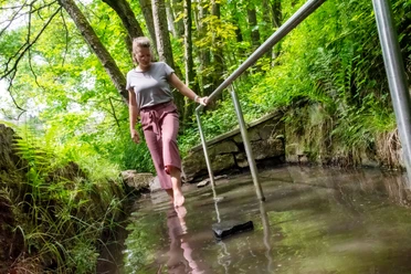 Waldlehrpfad mit Tretbecken Barfuß gehende Frau genießt ein Wald-Wassertretbecken, umgeben von grüner Vegetation und Bäumen.