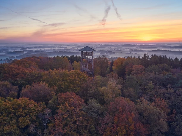 Sonnenaufgang über einem Wald mit Aussichtsturm und sanften Nebelschleiern.