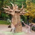 Osnabrücker Zoo