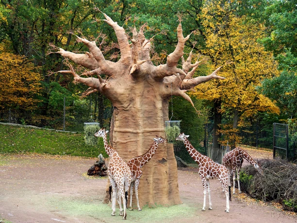 Osnabrücker Zoo