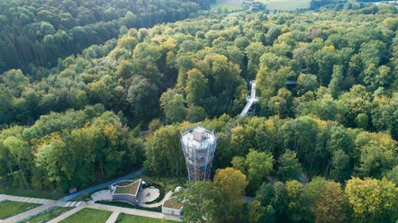 bad-iburg-baumwipfelpfad-c-tol.jpg