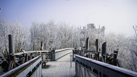 bad-iburg-baumwipfelpfad-winter-2021-copyright-bad-iburg-tourismus-gmbh.jpgH.jpg