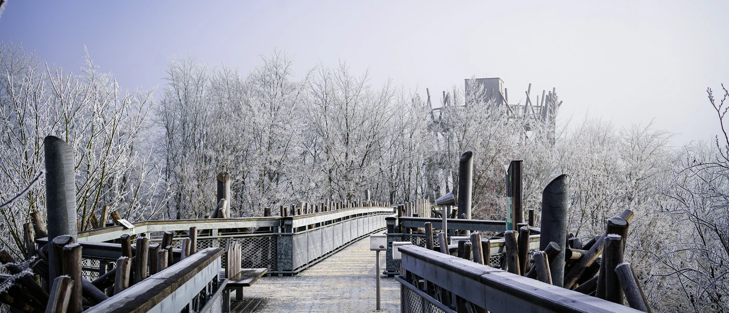 bad-iburg-baumwipfelpfad-winter-2021-copyright-bad-iburg-tourismus-gmbh.jpgH.jpg bad-iburg-baumwipfelpfad-winter-2021-copyright-bad-iburg-tourismus-gmbh.jpgH.jpg