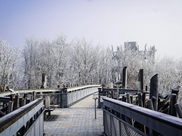 bad-iburg-baumwipfelpfad-winter-2021-copyright-bad-iburg-tourismus-gmbh.jpgH.jpg bad-iburg-baumwipfelpfad-winter-2021-copyright-bad-iburg-tourismus-gmbh.jpgH.jpg