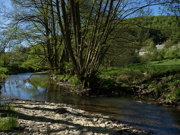 Orke in Medelon Kleiner Fluss Orke in der Nähe von Medelon