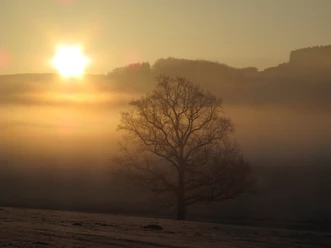 Nebelstimmung bei Reiste Die Nebelstimmung zeigt die vielfältige Landschaft des Sauerlandes.