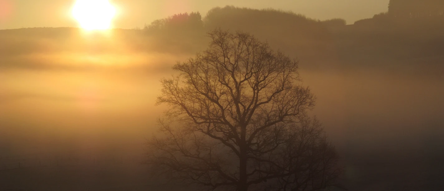 Nebelstimmung bei Reiste Die Nebelstimmung zeigt die vielfältige Landschaft des Sauerlandes.