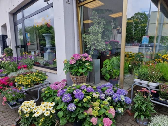 Anette´s flower power