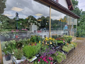 Anette´s flower power