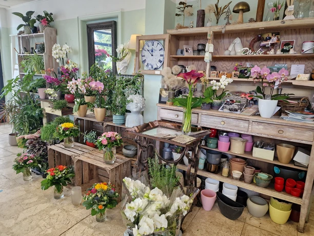 Anette´s flower power