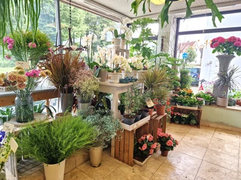 Anette´s flower power