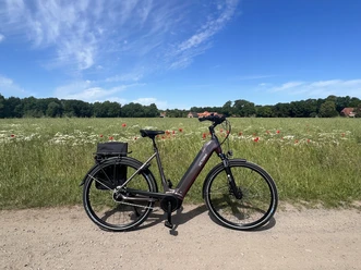 Ein modernes E-Bike steht auf einem Feldweg vor einer blühenden Wiese und klarem, blauem Himmel.
