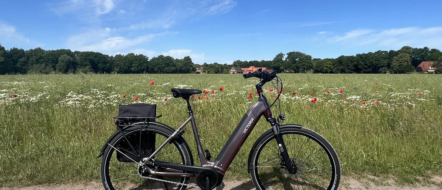 Ein modernes E-Bike steht auf einem Feldweg vor einer blühenden Wiese und klarem, blauem Himmel.